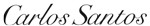 Carlos Santos Shoes